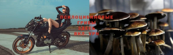 круглые Ельня