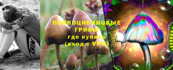 эйфоретик Елизово