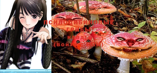 эйфоретик Елизово